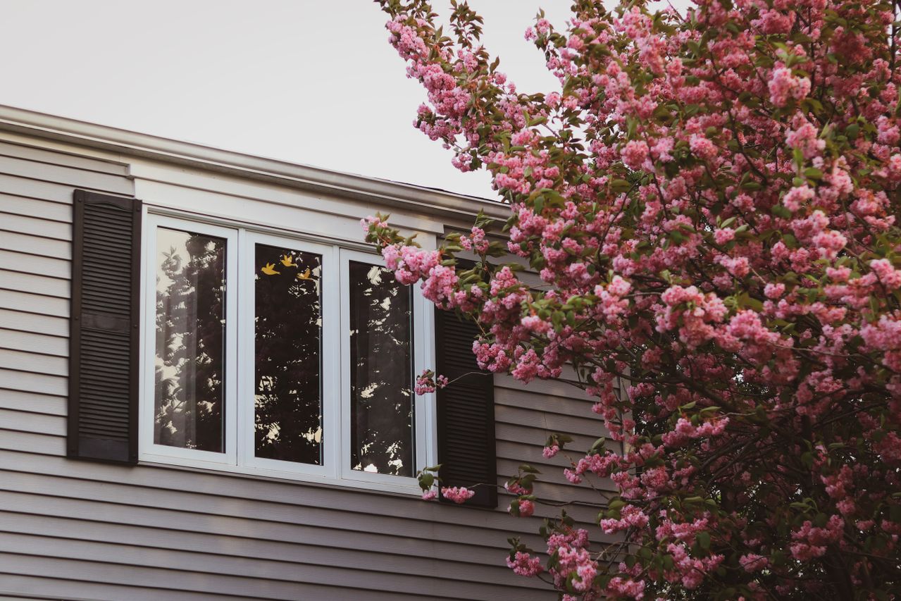 window